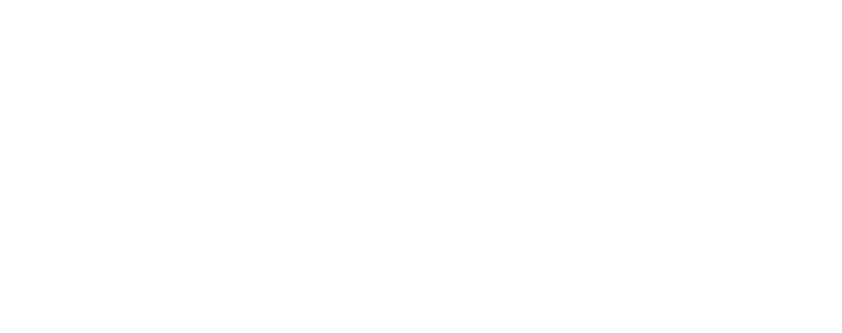 The Calley Group