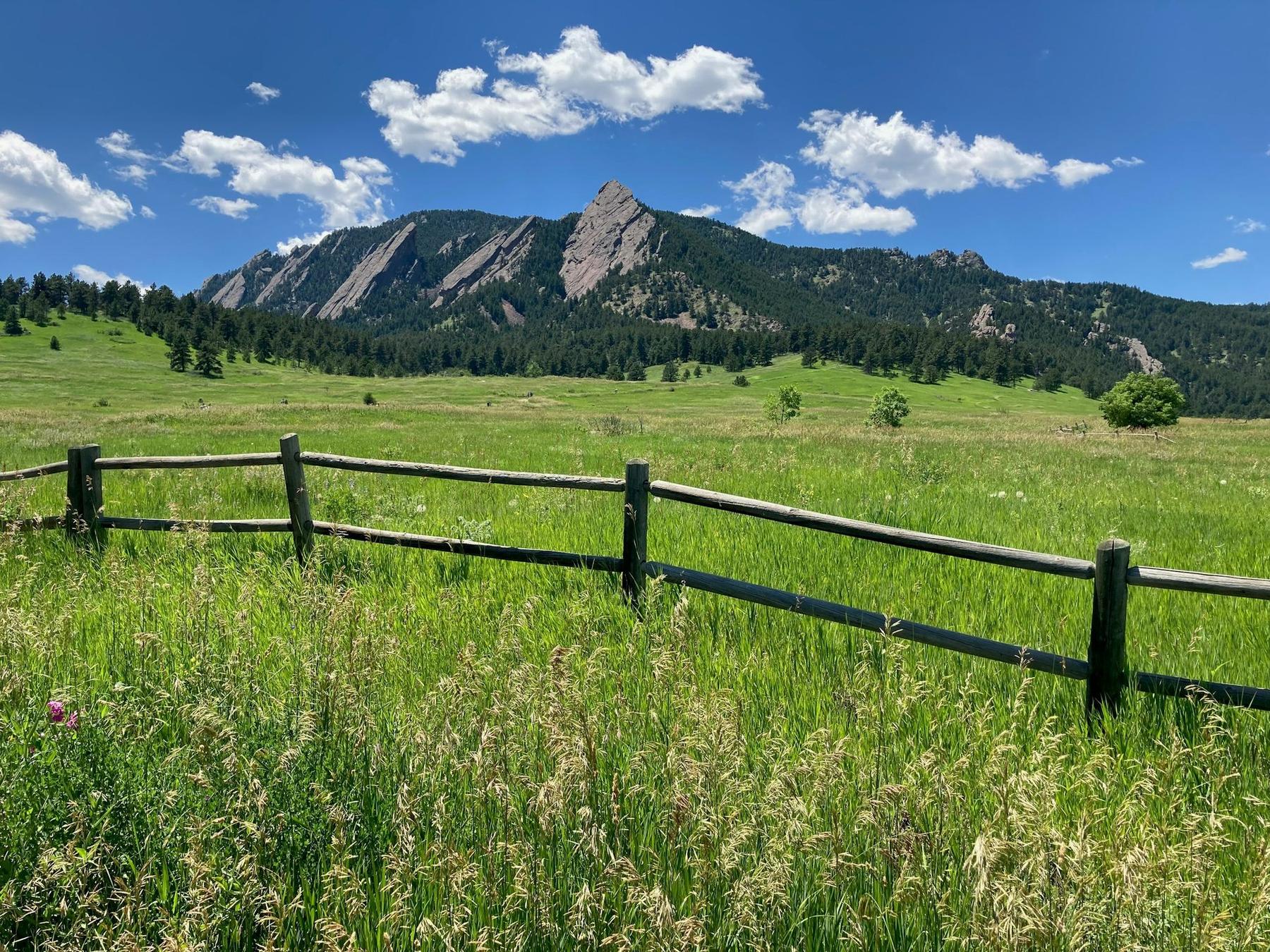A wooden fence across a green meadow below the mountains in Boulder.