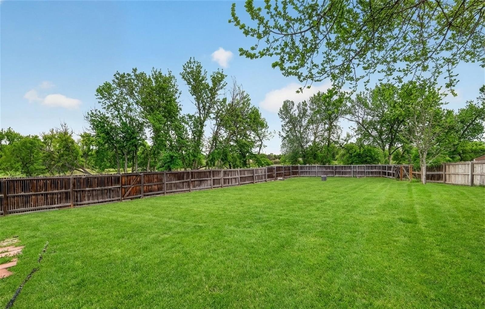 Large back lawn with mature trees at a central Broomfield home.