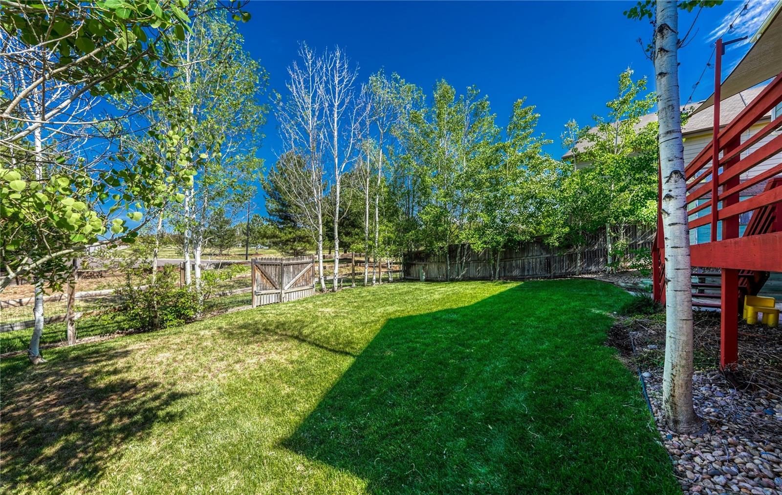 Backyard with aspen trees behind a two-story home.