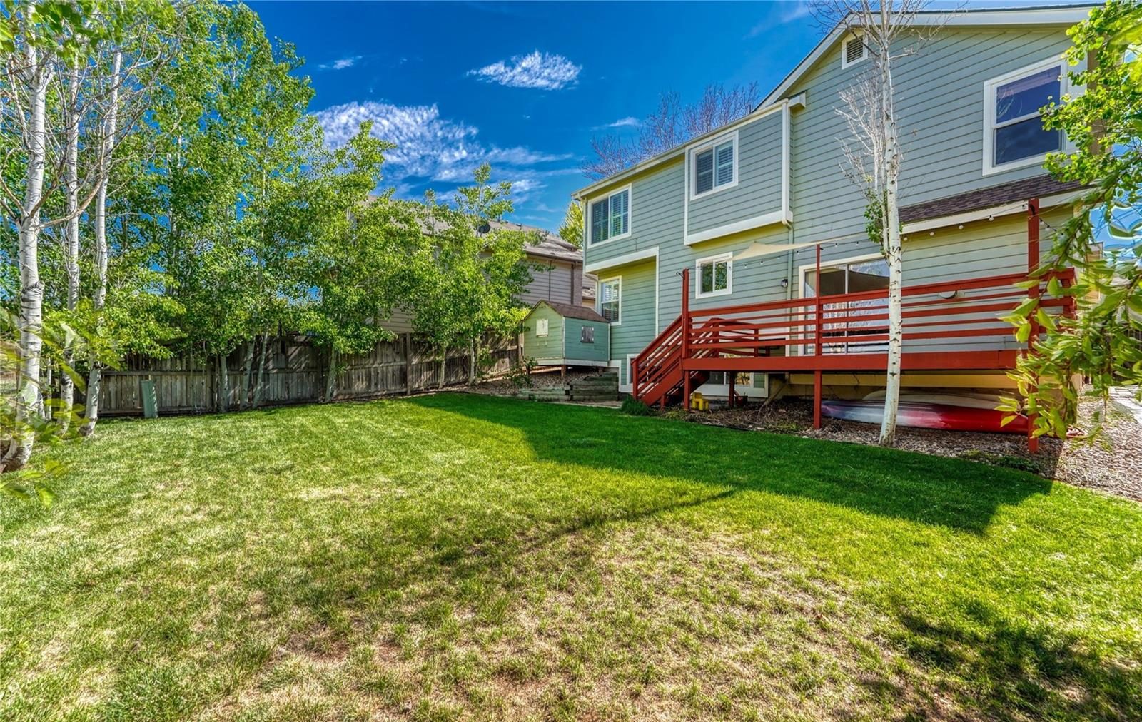 Green backyard with aspen trees and a red deck.